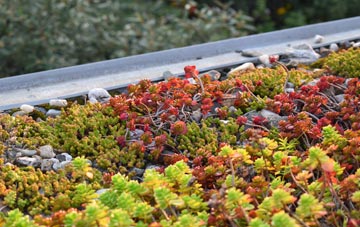the cost of Liff green roof installation